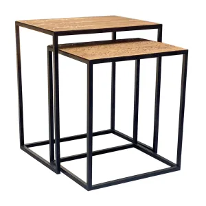 Cascabel Faux Rattlesnake Skin End Tables - Set of 2