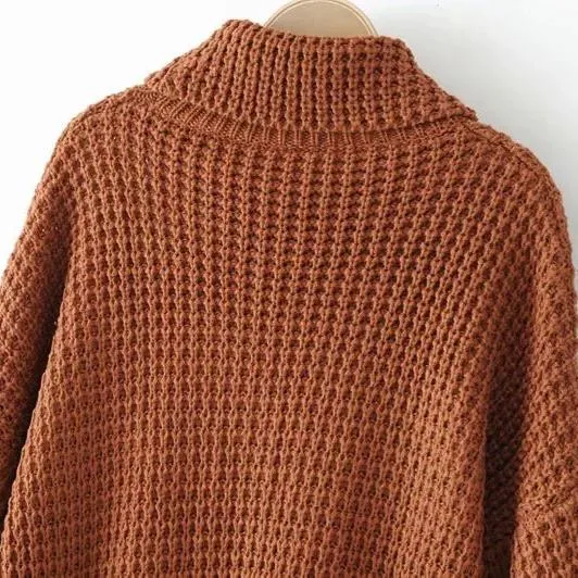 Elegant Cotton Blended Turtleneck Sweater