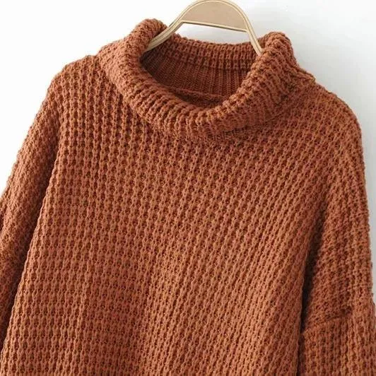 Elegant Cotton Blended Turtleneck Sweater